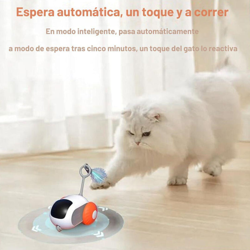 TURBO CAT CAR - Tienda e Decor